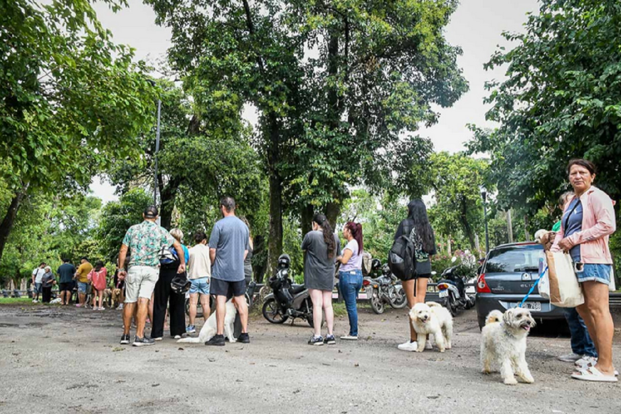 La Municipalidad retomó los operativos de castración en los barrios