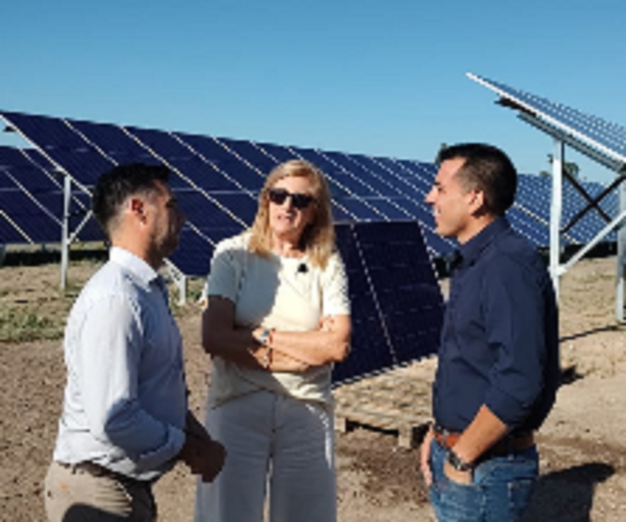 El parque solar de Paraná estará operativo a mediados de año
