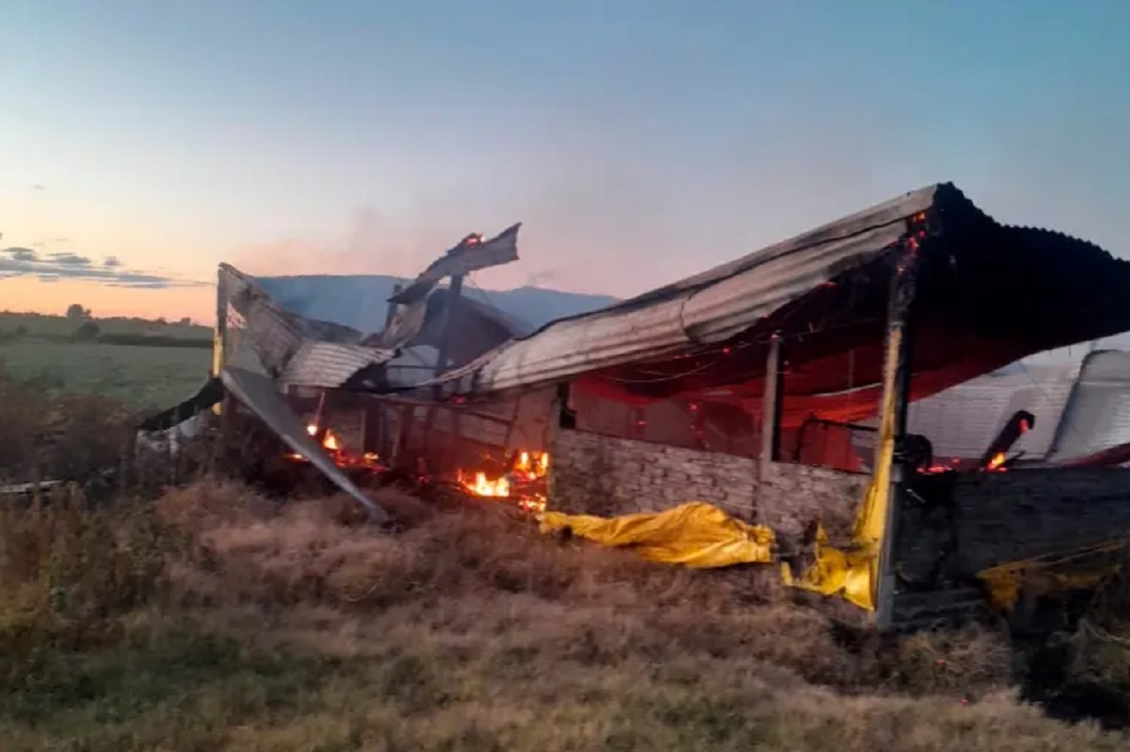 Incendio arrasó un galpón y murieron 500 cerdos