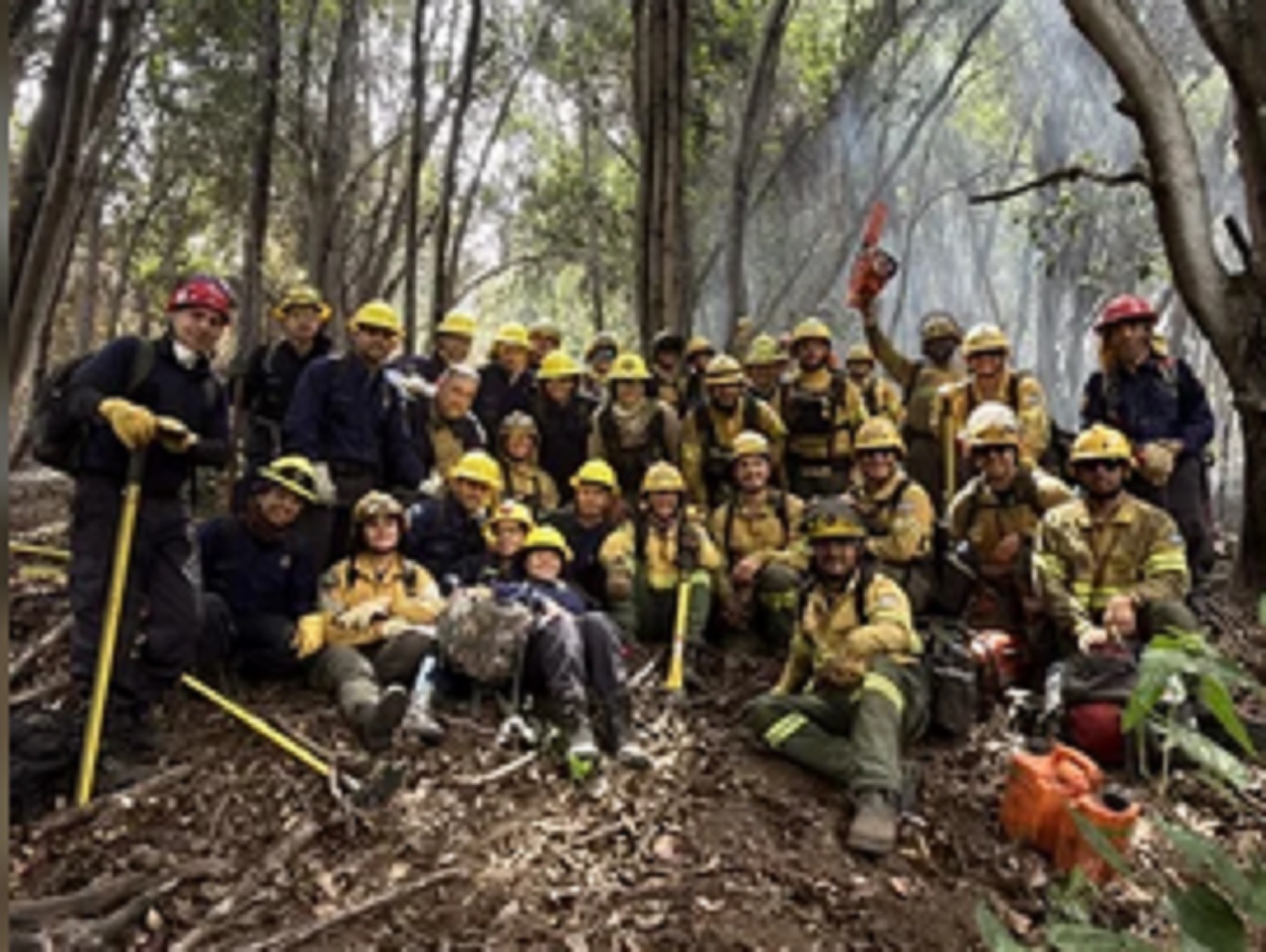 Declararon contenido el incendio en el Parque Nacional Los Alerces
