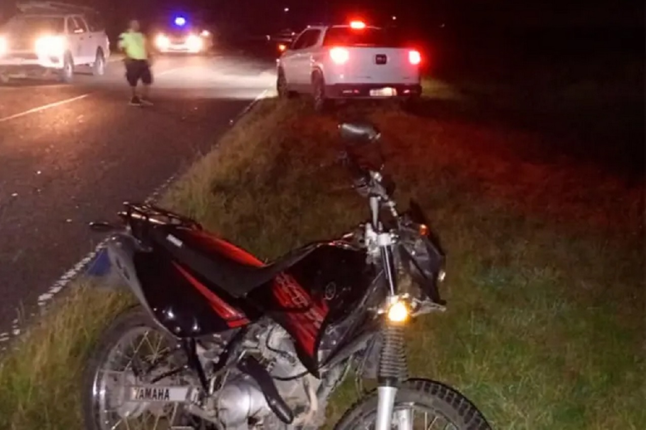 Ruta provincial 11: Motociclista chocó con un ciervo