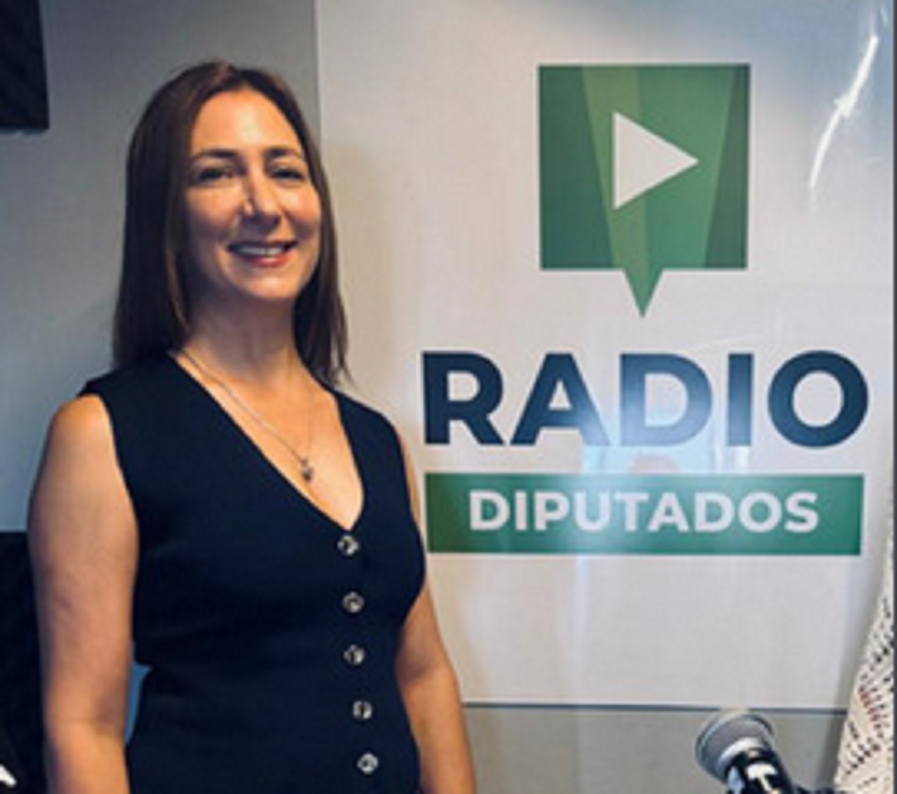 Radiografía del Área Comisiones: El soporte técnico que ordena el trabajo legislativo