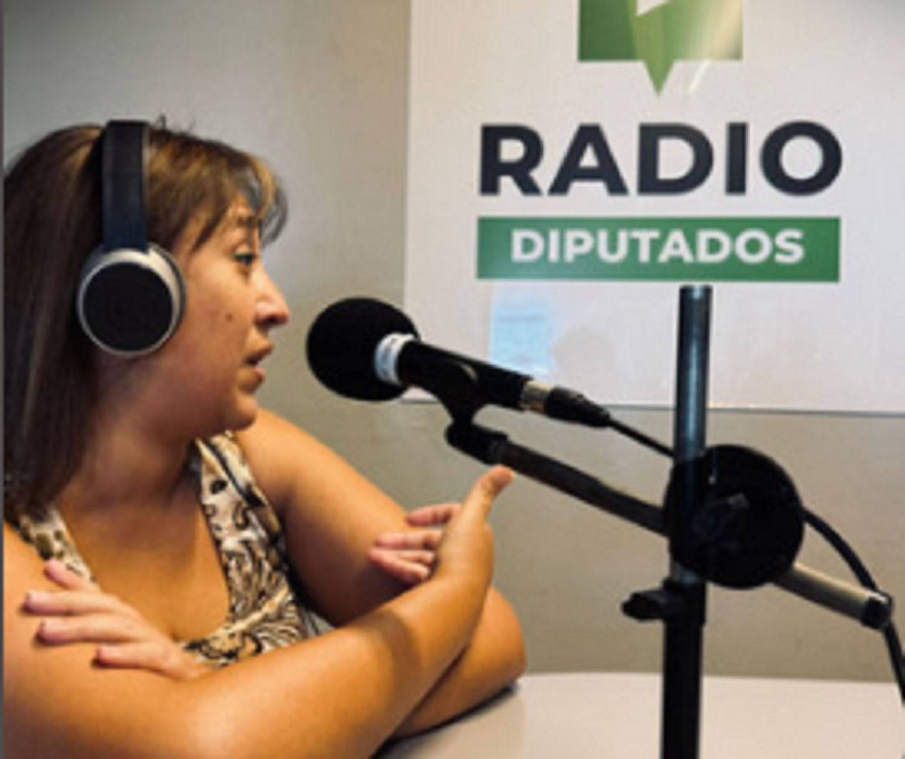 La Oficina de Sugerencias Ciudadanas fortalece el nexo entre la sociedad y la Legislatura entrerriana