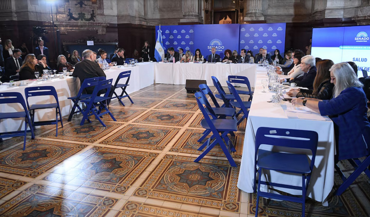 El Senado retoma el debate para cambiar la ley de salud mental: expondrán más de 30 invitados