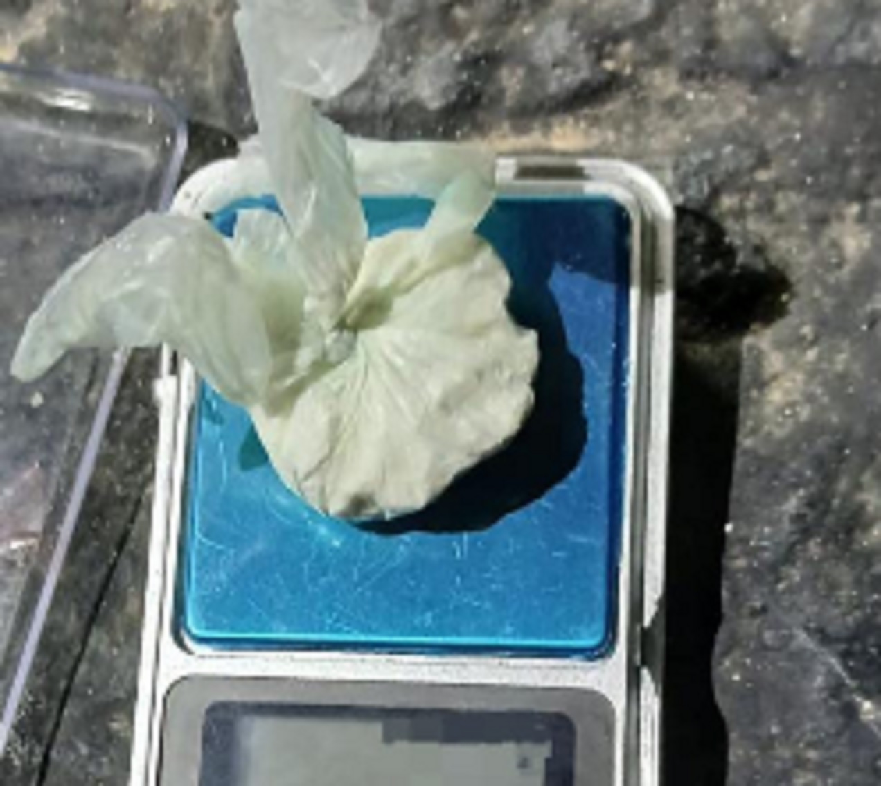 Detectan maniobras de narcomenudeo en Strobel: una pareja de Paraná fue detenida en inmediaciones a una estación de servicio
