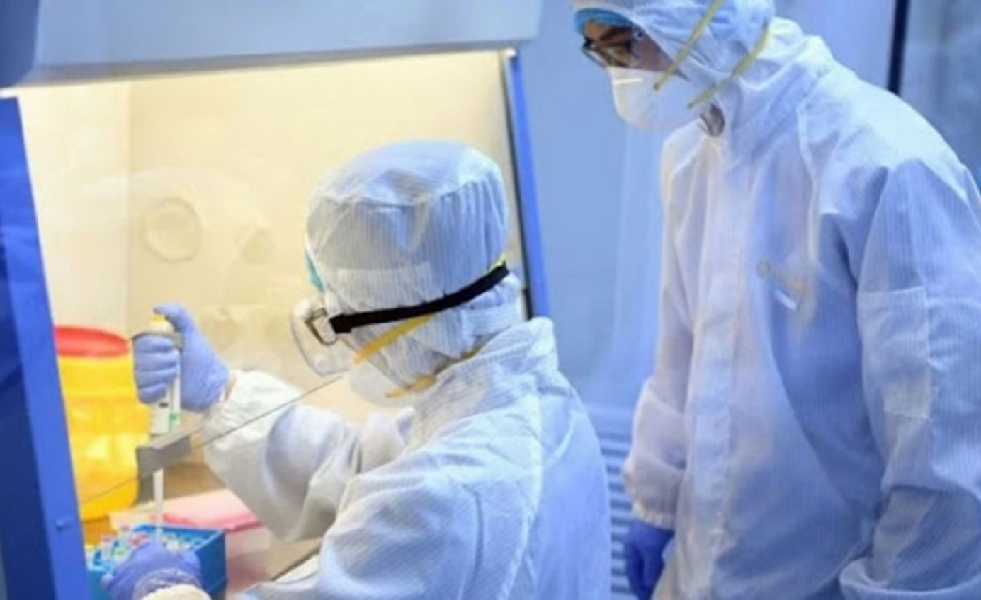 La OMS dice que el riesgo de la actual epidemia de ébola es bajo a nivel global
