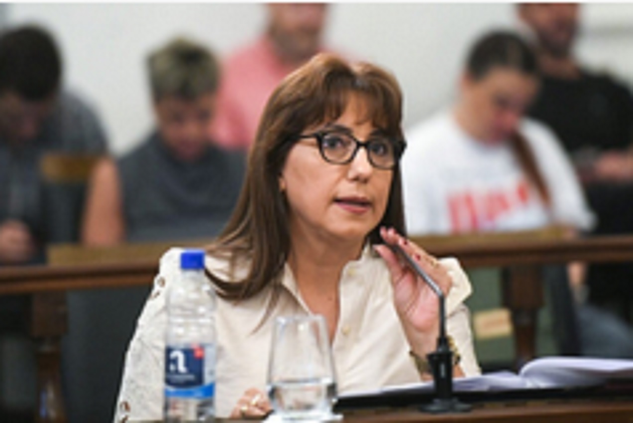 Domínguez: No voy a acompañar a libro cerrado, es necesario tener una posición