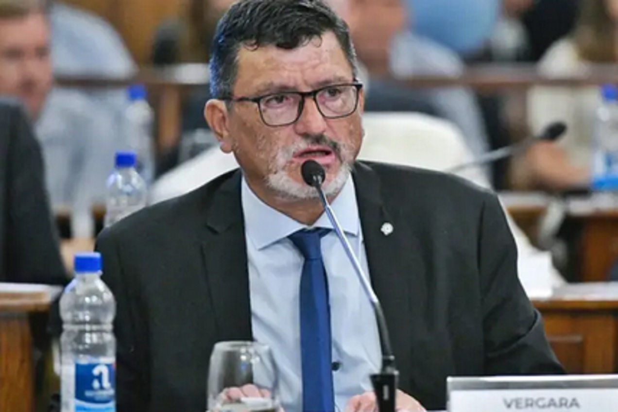 Vergara: No se puede advertir durante 20 años que el sistema es inviable y actuar como si el problema hubiera empezado ahora