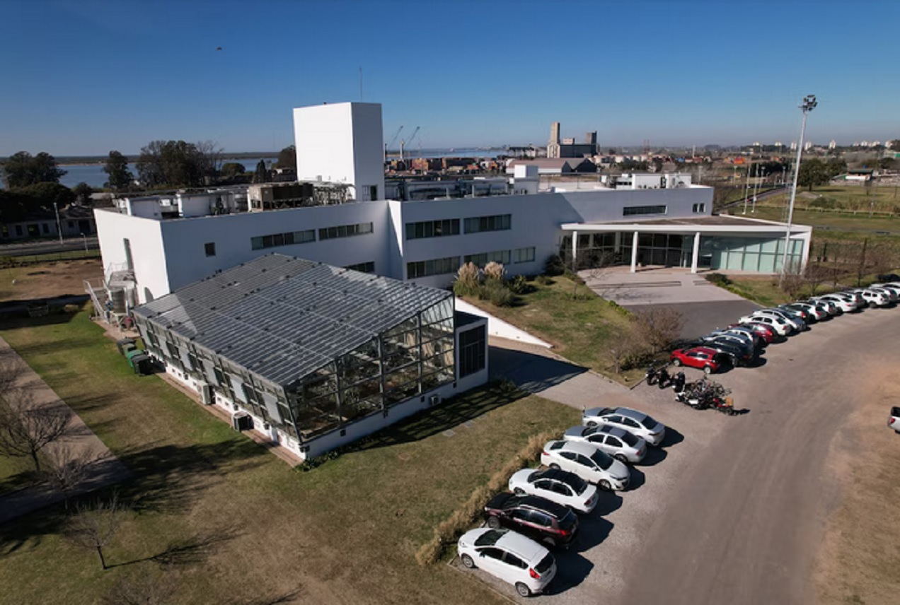 Bioceres: accionistas denunciaron a una ex directora por una presunta estafa de USD 12 millones