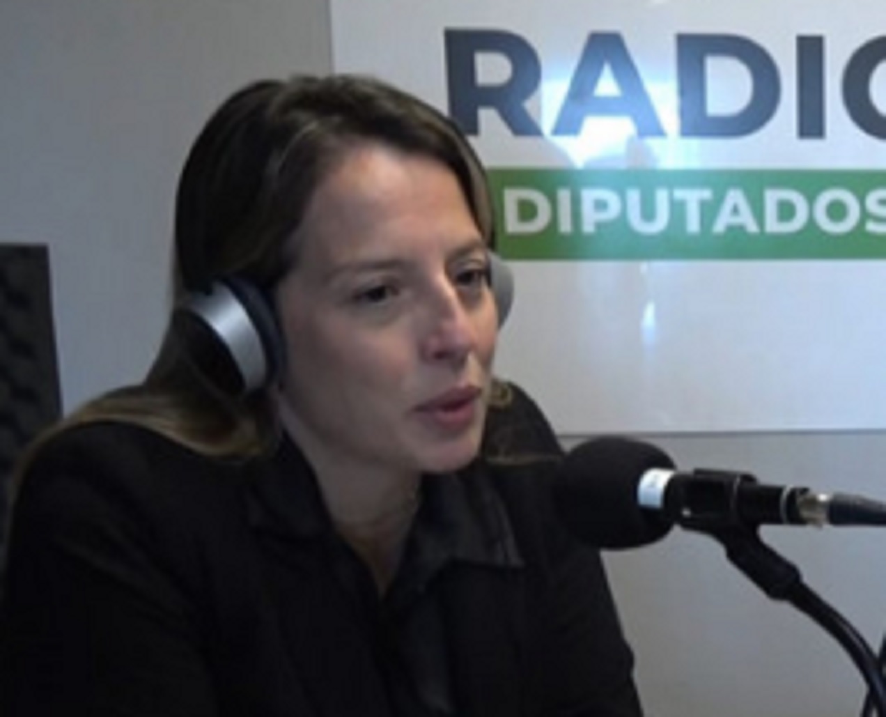 A 11 años del Ni una Menos, Diputados renueva su compromiso con la prevención de la violencia de género