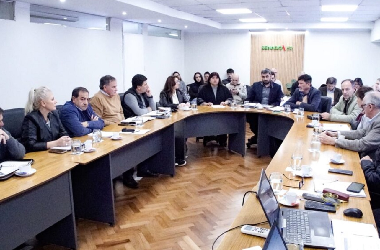 Reforma Previsional: senadores acordaron cronograma de trabajo
