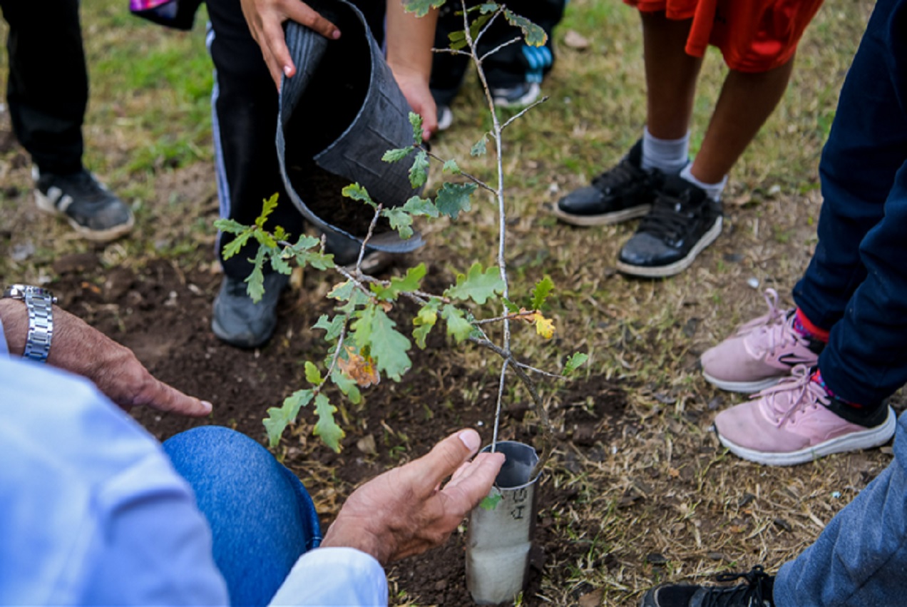 El Municipio celebró el Día del Ambiente con una jornada de concientización para escuelas