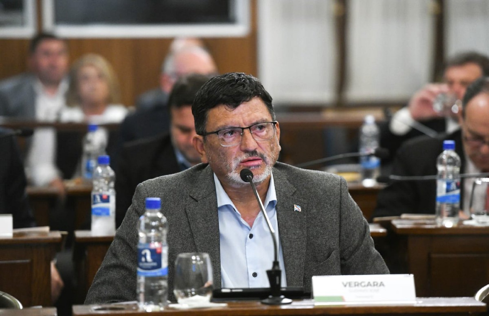Vergara reveló que el PJ declaró la emergencia previsional apenas dos años después de crear el actual sistema jubilatorio