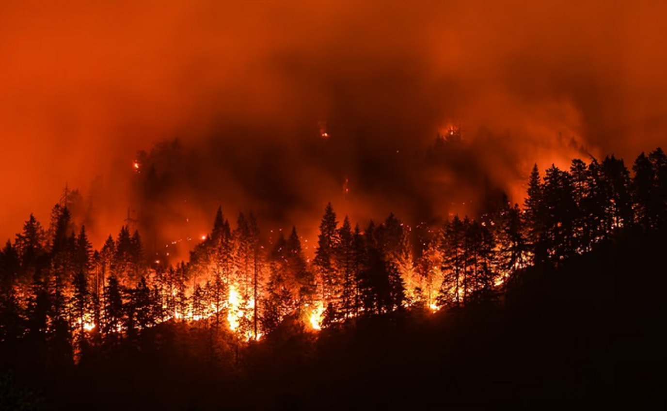 California: un incendio forestal arrasó más de 800 hectáreas