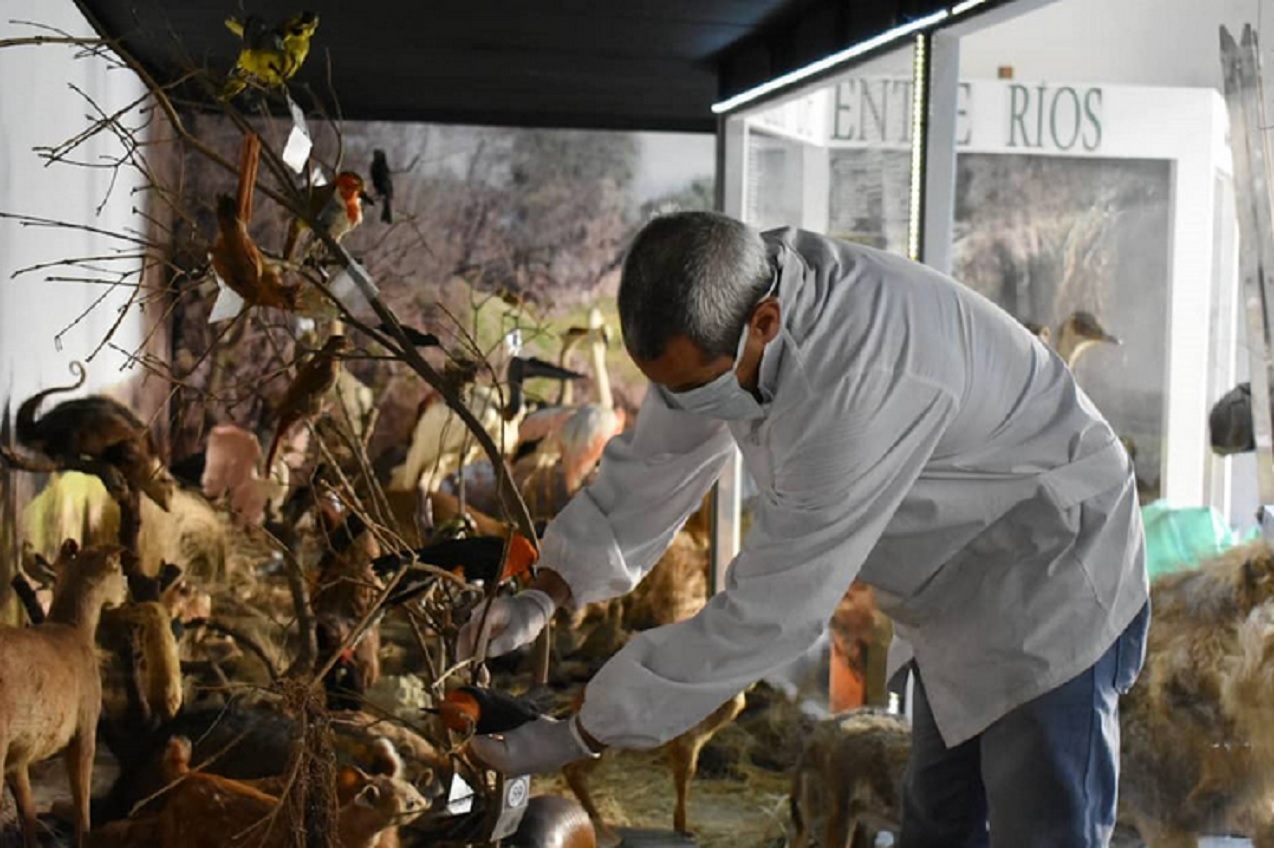 El Museo Serrano permanecerá cerrado al público por tareas de conservación preventiva de sus colecciones