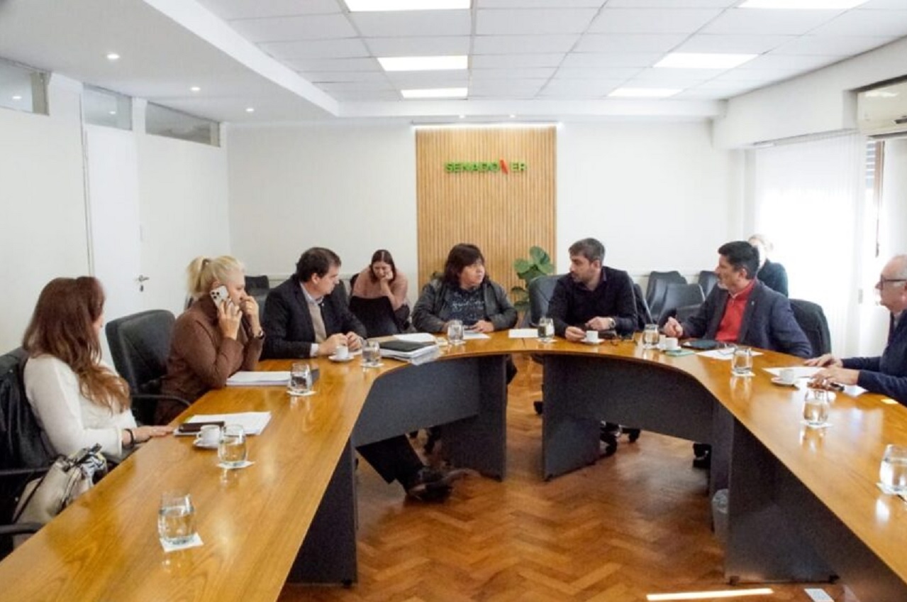 En comisión tuvo dictamen el proyecto sobre pensiones especiales
