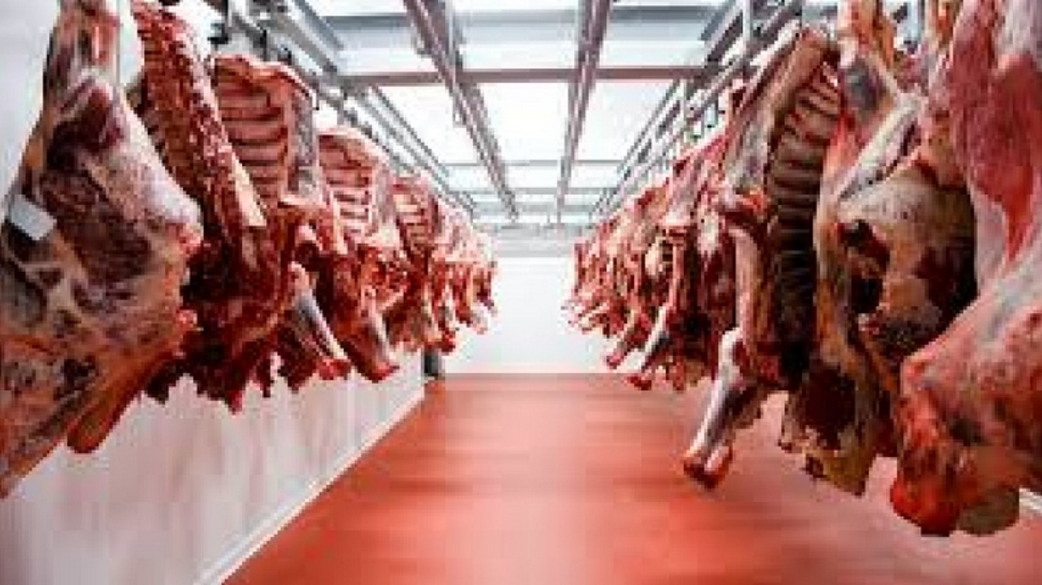 Creció un 369% la venta de carne argentina a los Estados Unidos
