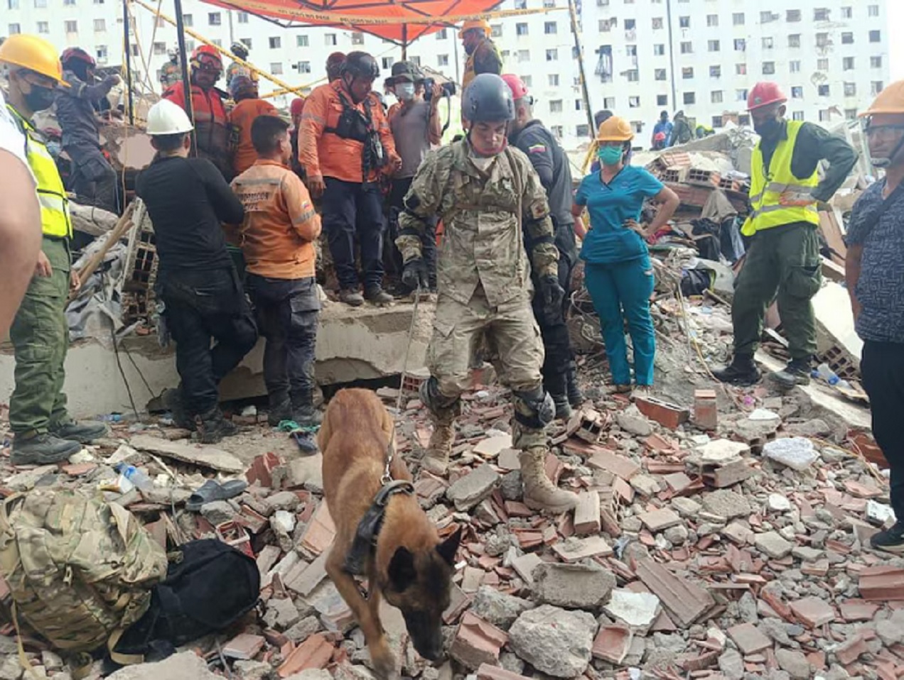 La misión humanitaria argentina en Venezuela rescató a dos menores entre los escombros con la ayuda de un can especializado