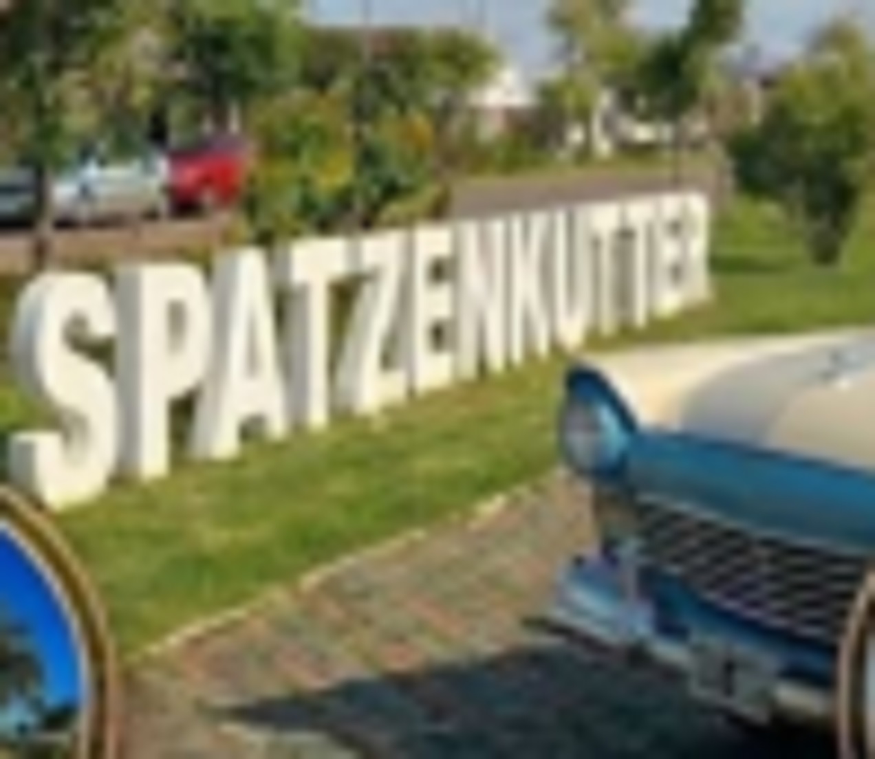 Impulso legislativo a la preservación del patrimonio automovilístico en la provincia