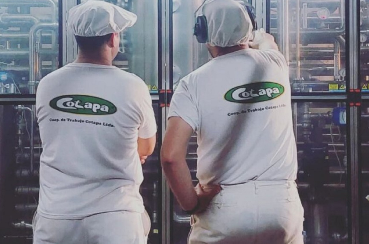 Cotapa: De la quiebra a ser recuperada por sus trabajadores