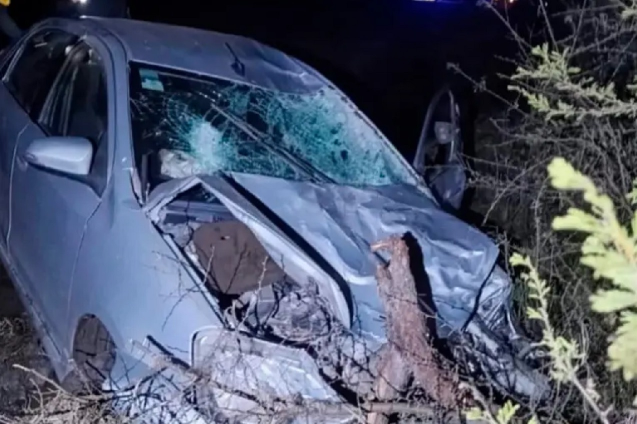 Ruta 2: Chocó contra un vacuno, perdió el control del auto y fue hospitalizado