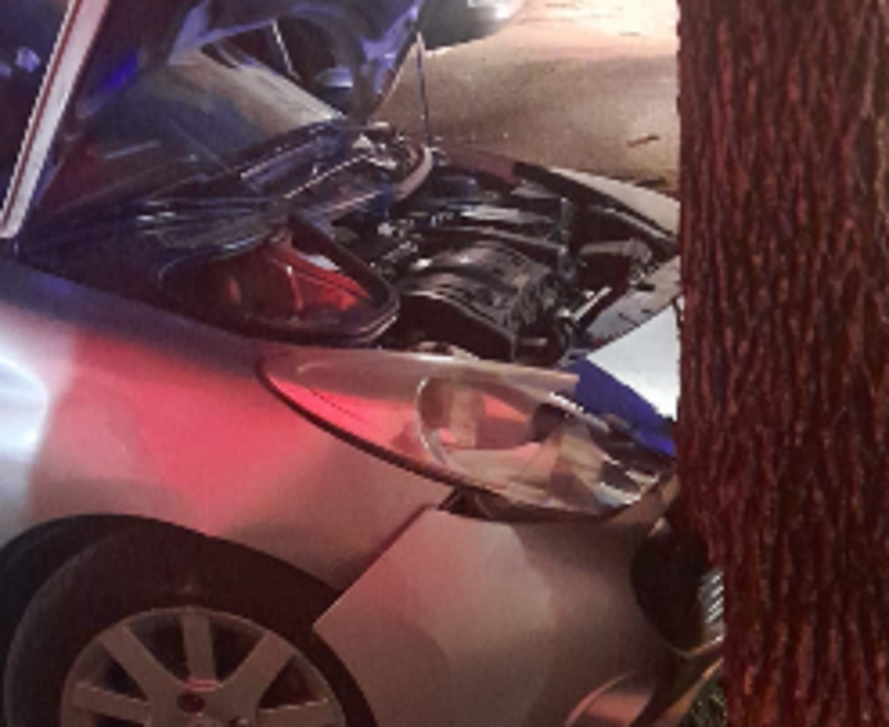 Perdió el control del auto y chocó contra un árbol