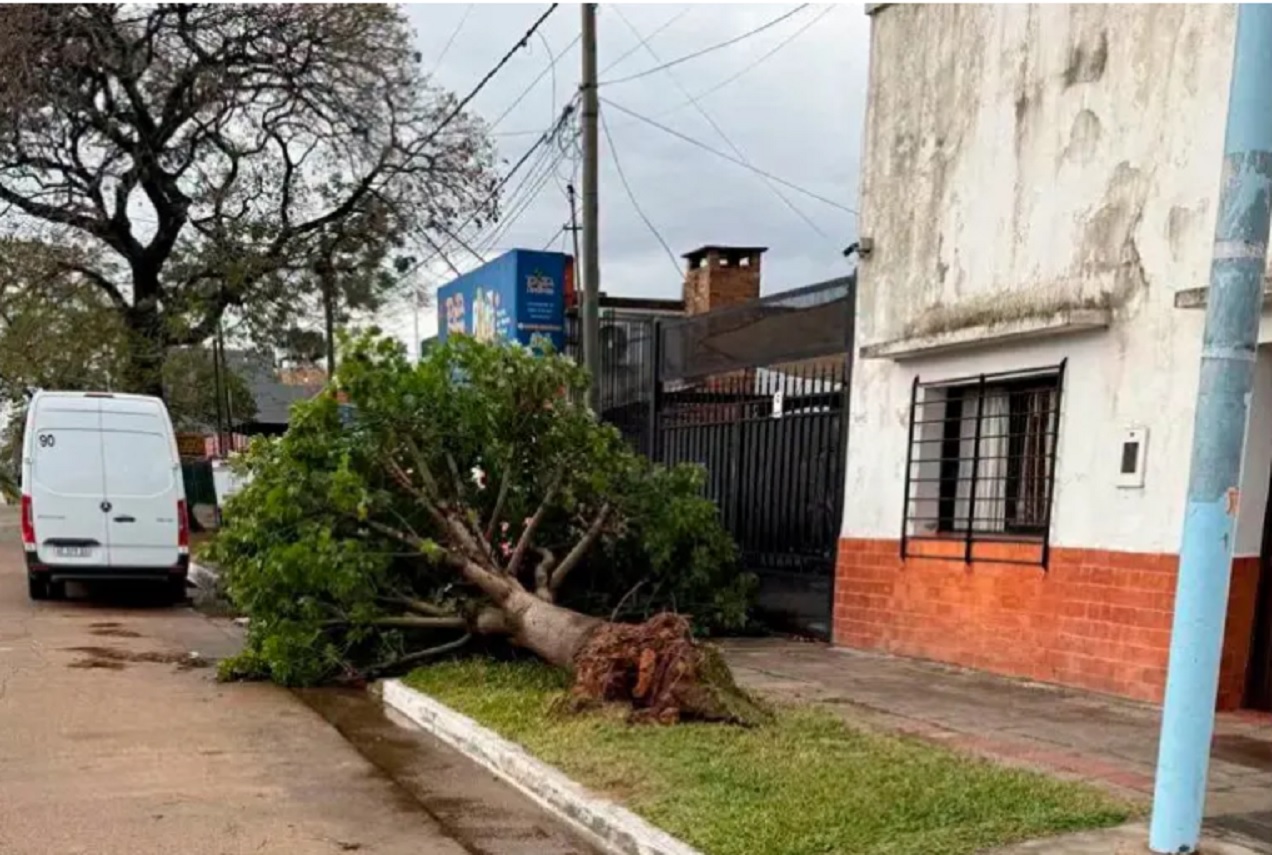 Una mujer murió aplastada por un árbol que cayó sobre su vivienda durante el fuerte temporal