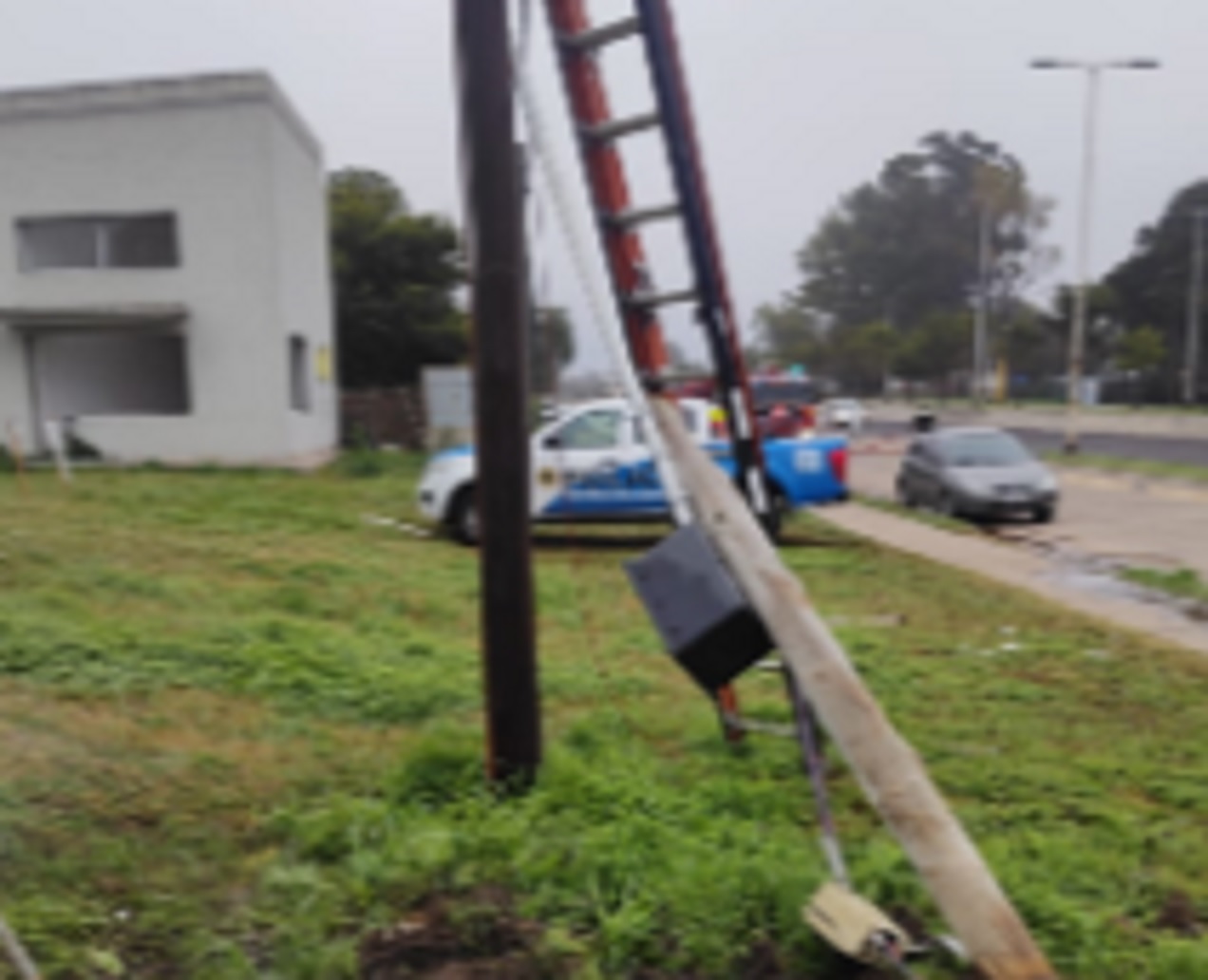 Robaron aberturas en locales comerciales de Avenida de las Américas
