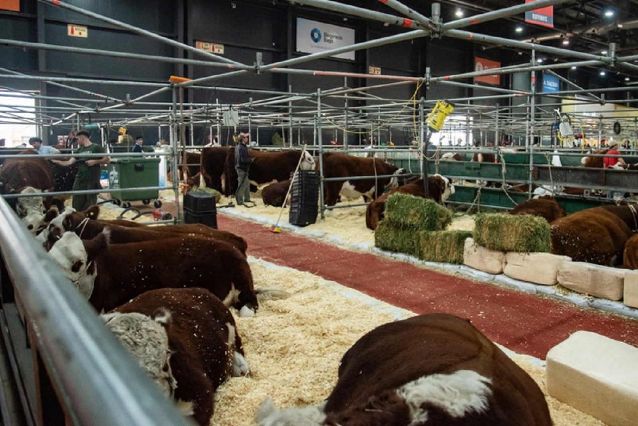 En la muestra rural de Palermo reconocerán a productores entrerrianos