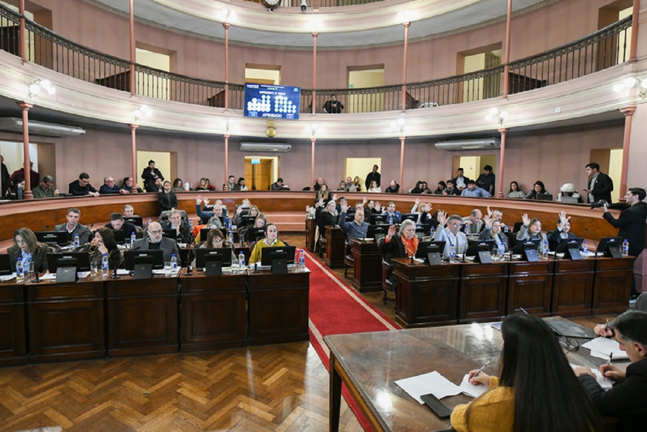Diputados dio media sanción al proyecto de ley de alivio impositivo para el comercio entrerriano