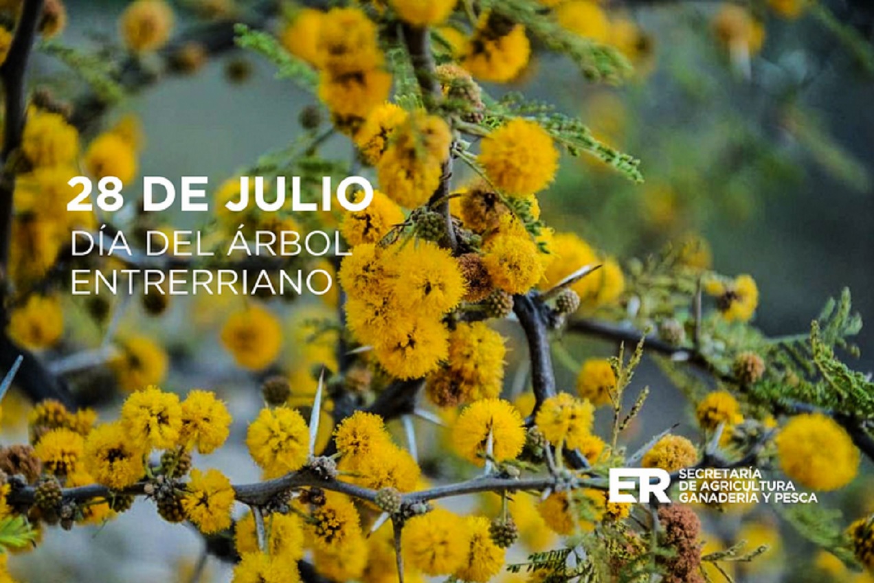 Día del Árbol Entrerriano: destacan el valor de las especies nativas para la producción y la conservación