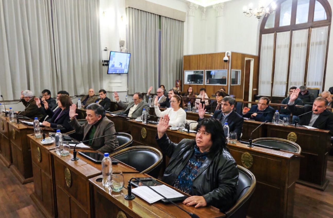 El Senado convirtió en ley la reglamentación del artículo 60 de la Constitución