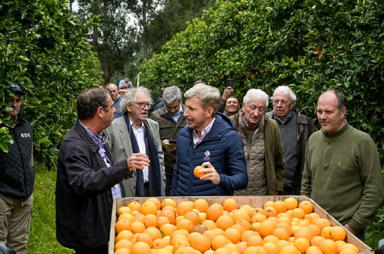 Frigerio recorrió plantaciones de cítricos en Concordia y destacó el potencial del sector para crecer y exportar