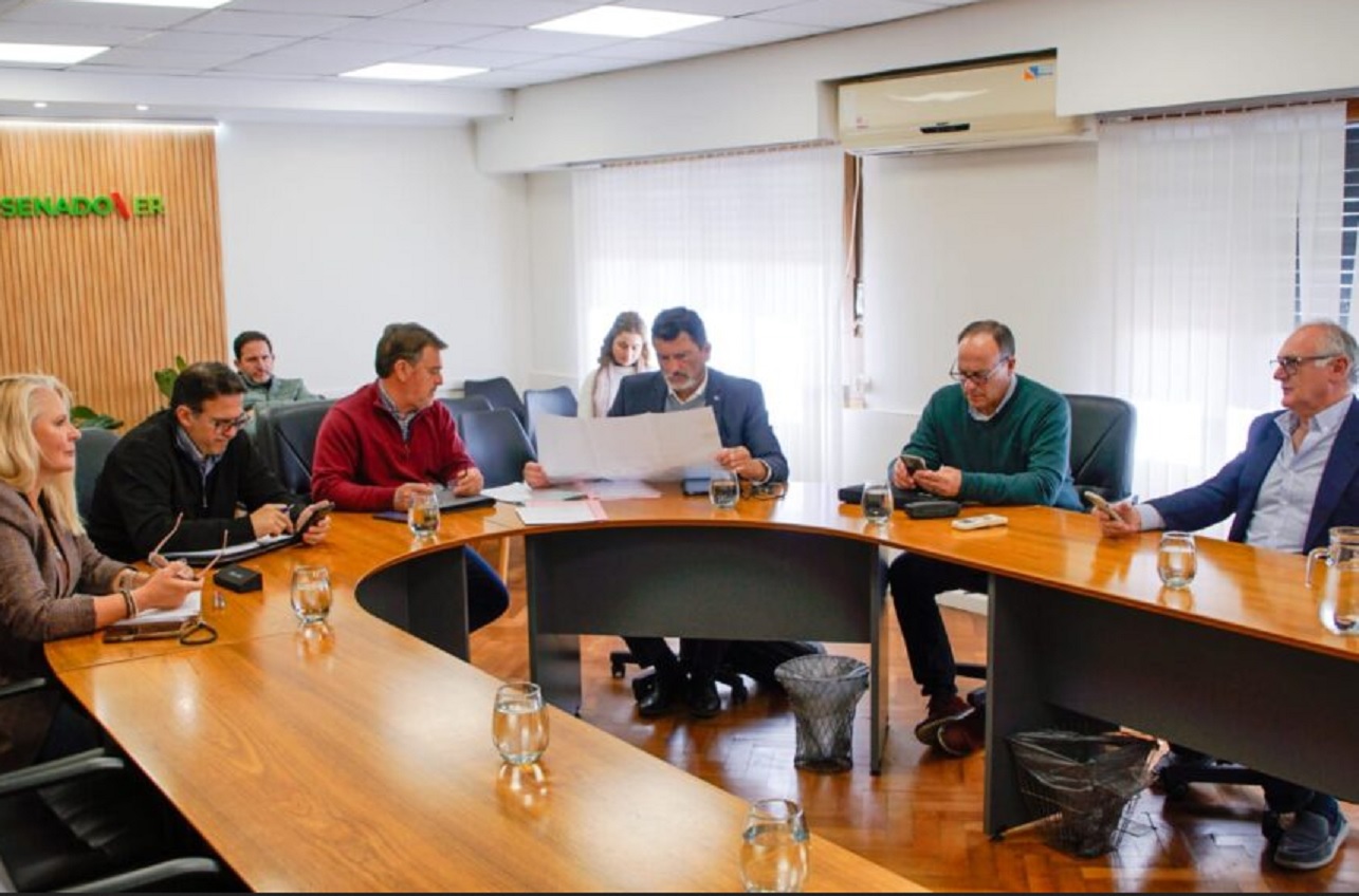 Senado: Dictamen favorable para proyectos productivos