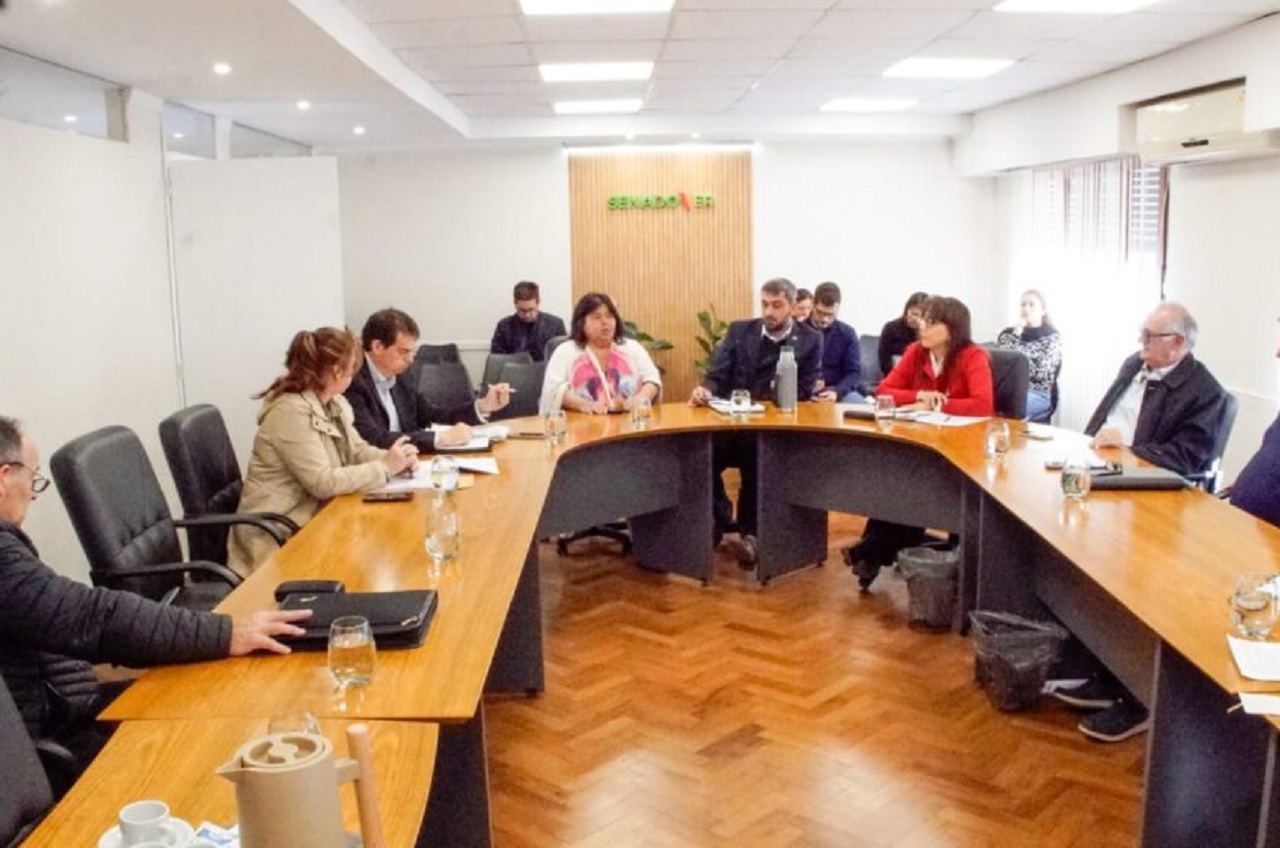 Senado: Firma de dictámenes en el marco de seis reuniones de comisión